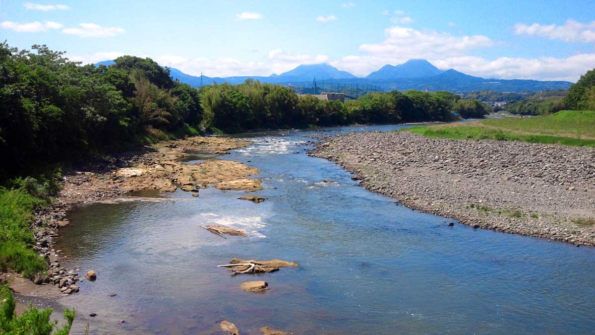 photo_今週の散歩