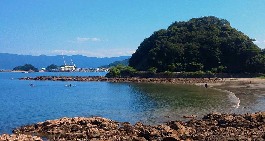 photo_タミヤのグレイバック